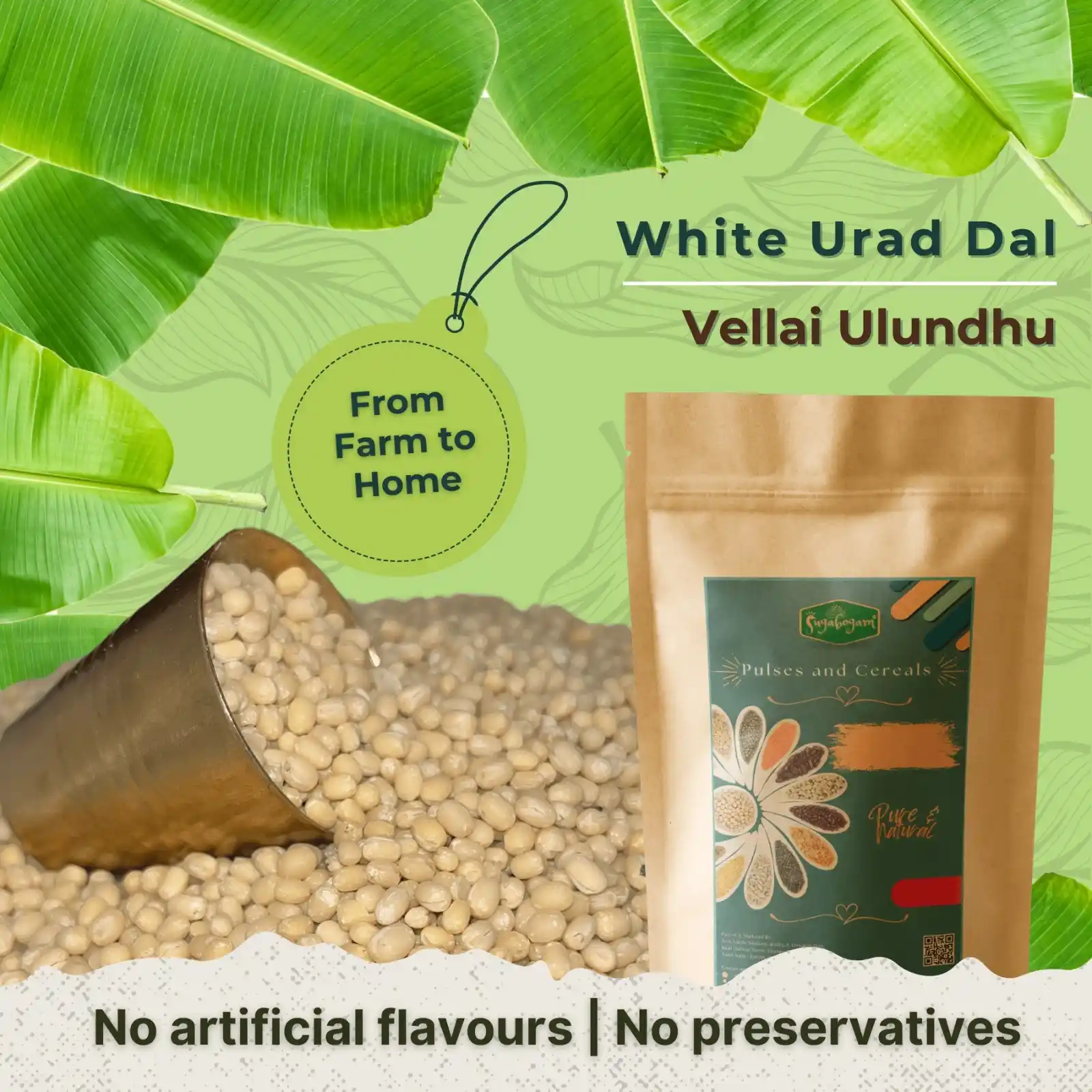 White Urad Dal – Sugabogam