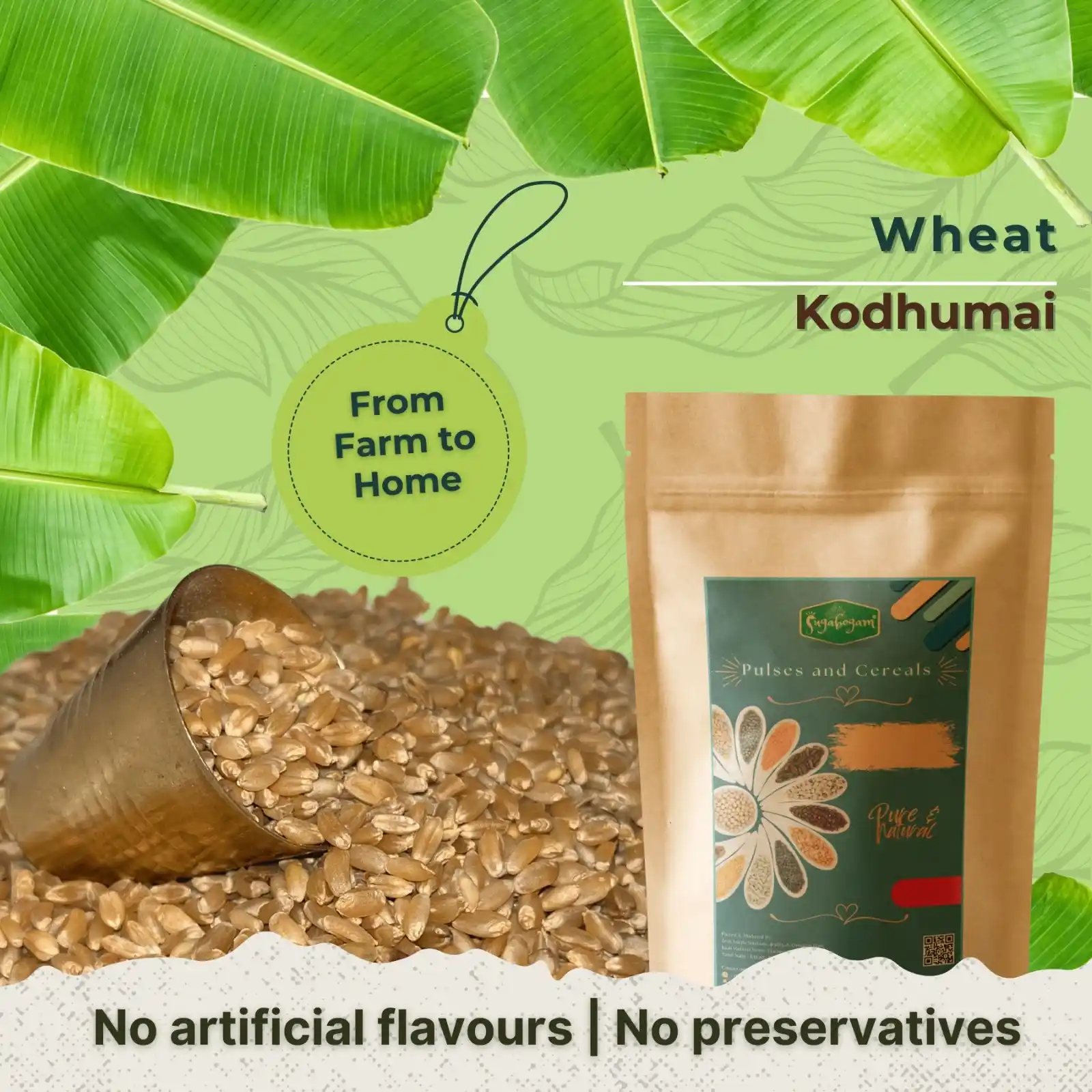Wheat Whole – Sugabogam