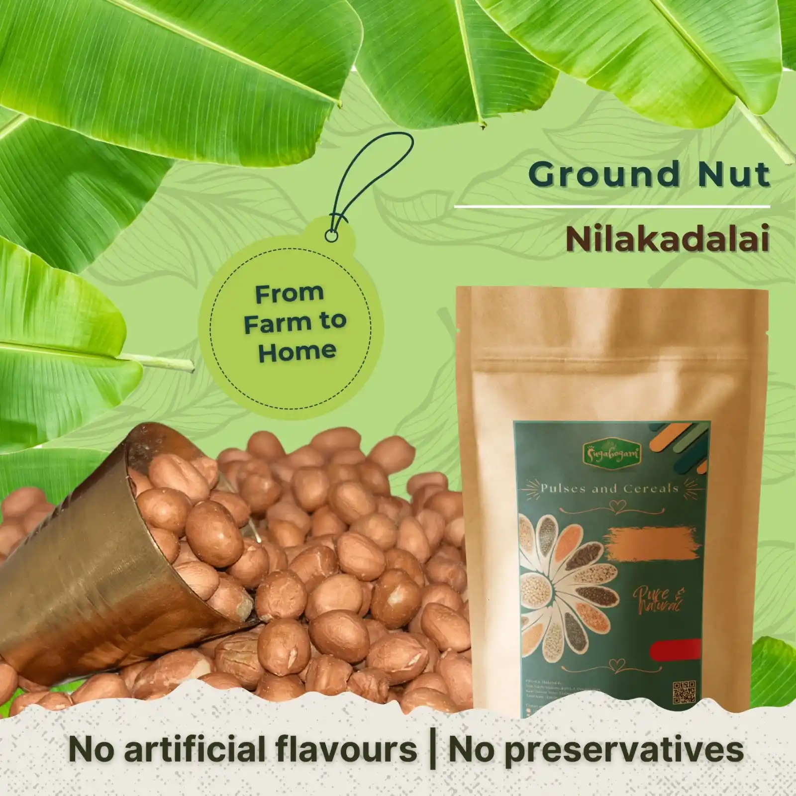 Ground Nut – Sugabogam