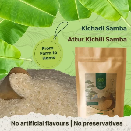 Attur Kichili Samba Rice