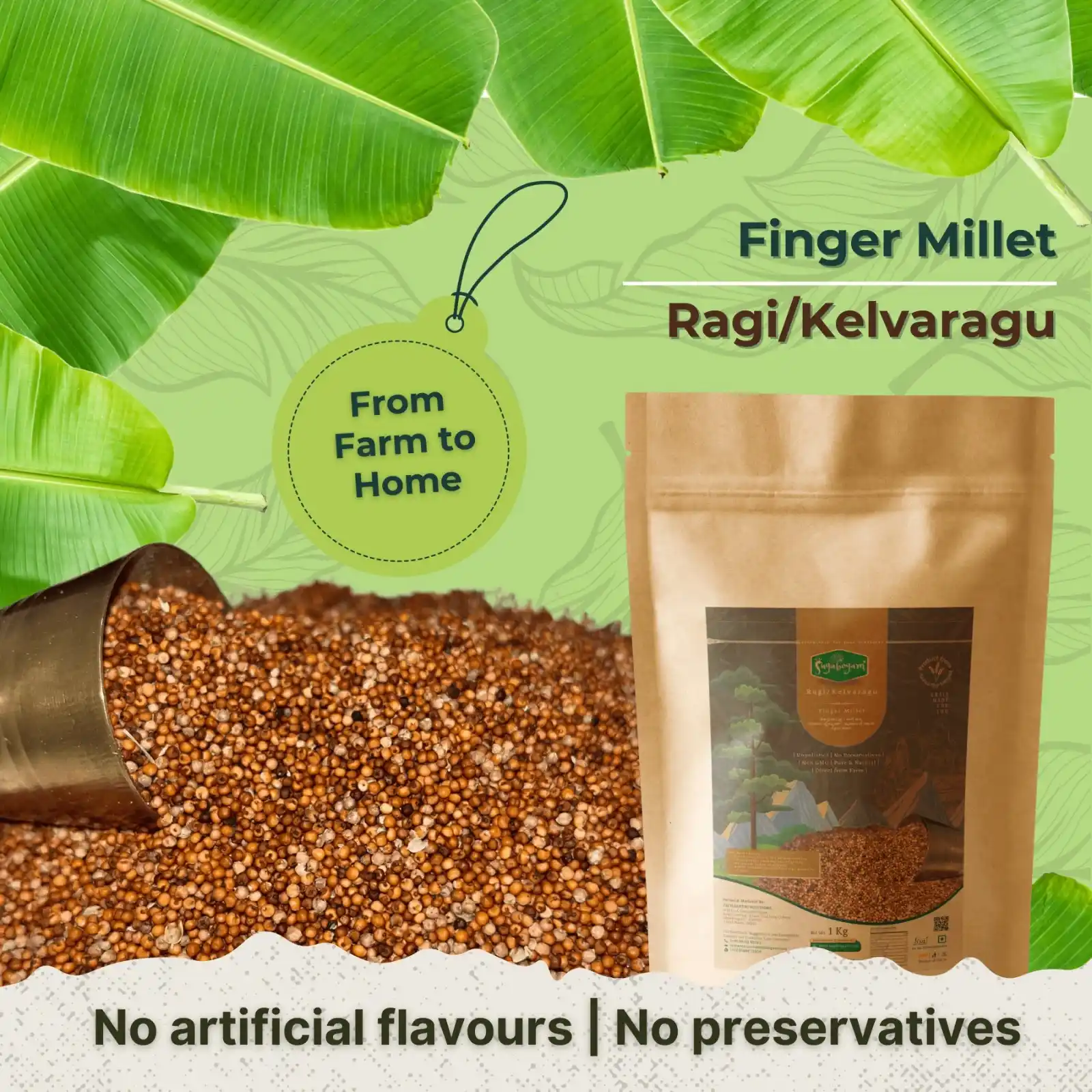Ragi/Kelvaragu – Sugabogam