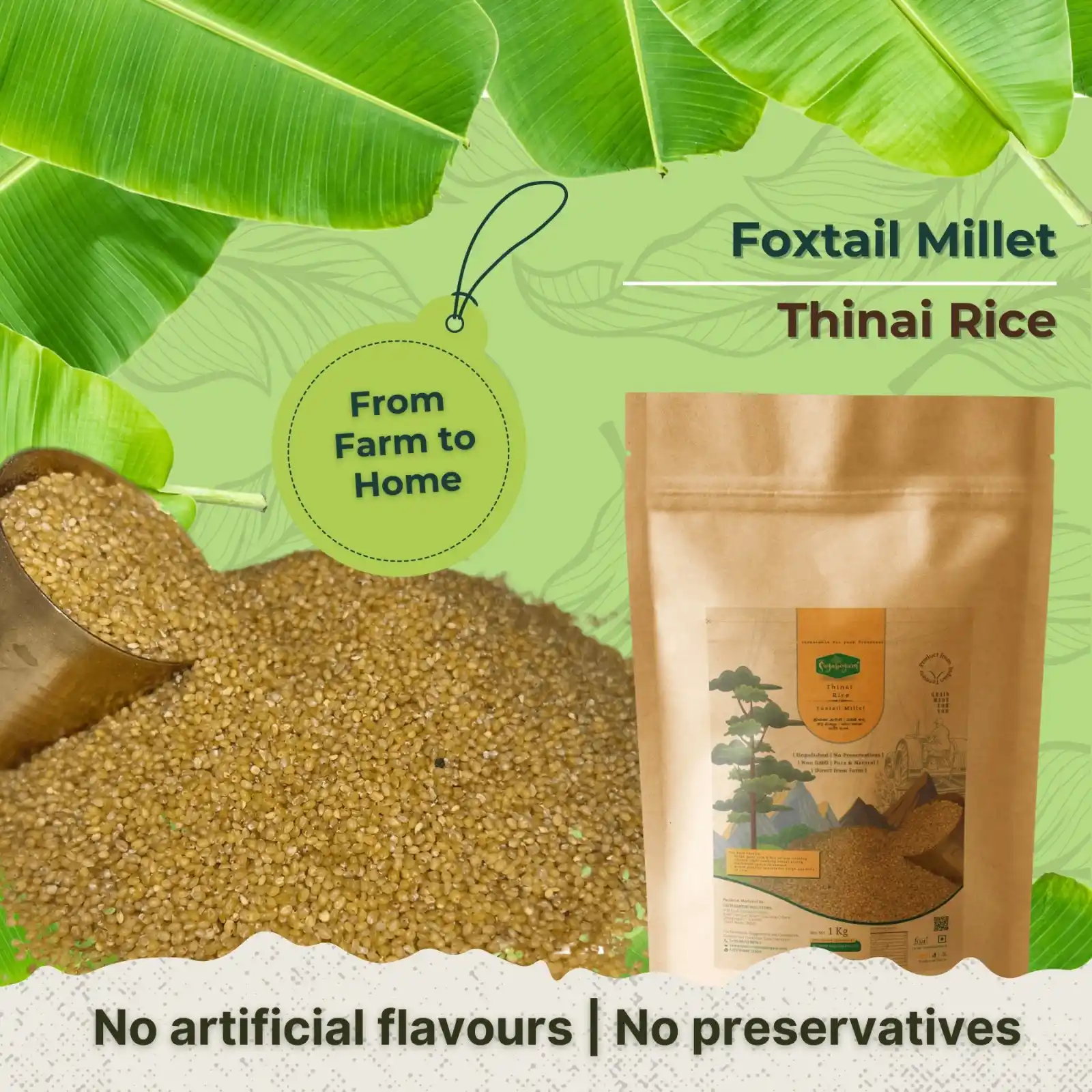 Thinai Rice – Sugabogam