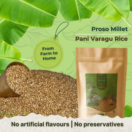 Pani Varagu Rice
